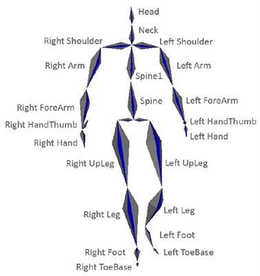 Correlation dimension and entropy in the assessment of sex differences based on human gait data